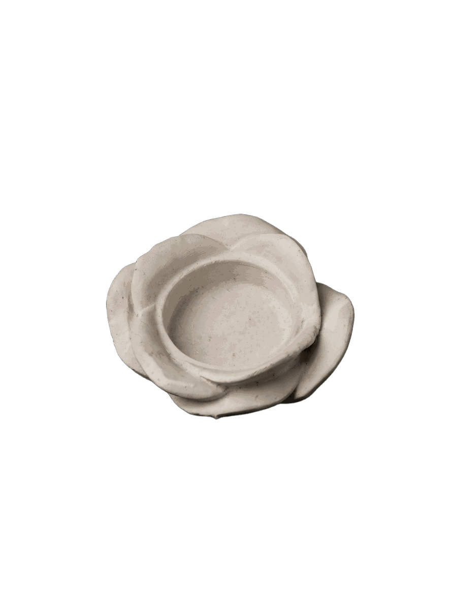 جاشمعی P-133