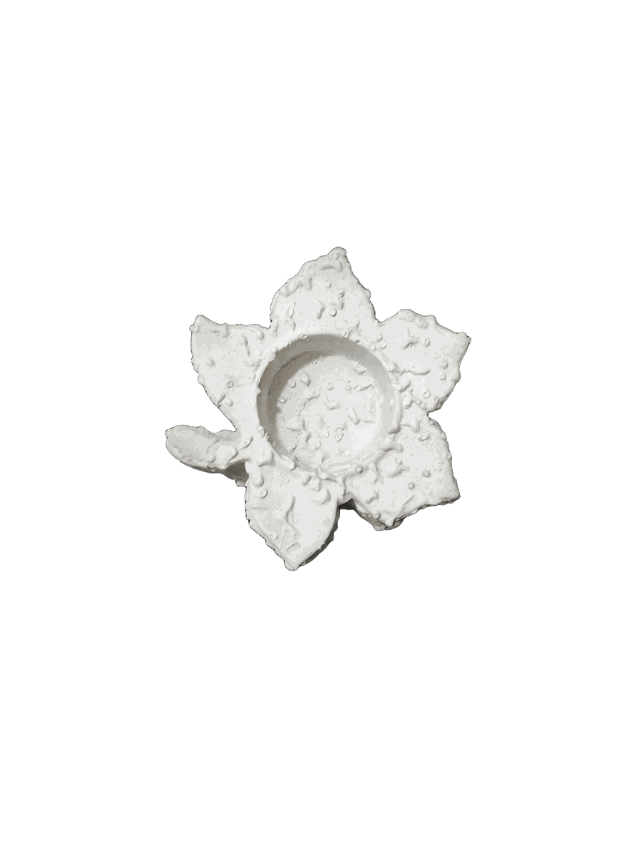 جاشمعی P-138