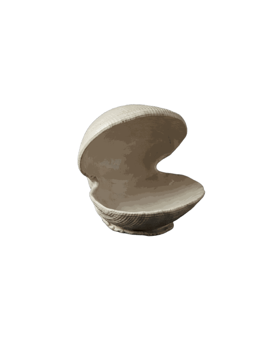 ظرف دکوری P-264